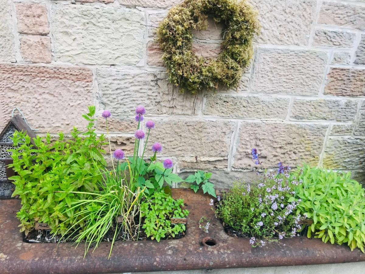 Brylach Steading Aberlour Dış mekan fotoğraf